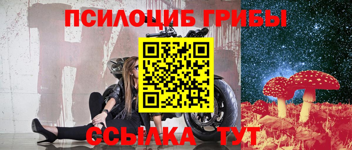 Добрянка  Галлюциногенные грибы прущие грибы  Вход с VPN  Псилоцибиновые грибы мицелий 